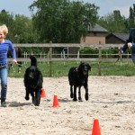 Kind & Hond dag succesvol